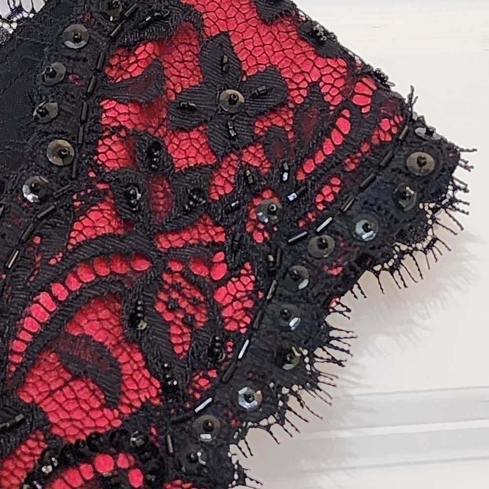 TADASHI Dress Shoji Cocktail Womens Size 4 Red Black Lace Eyelash Fairygoth - Picture 8 of 13